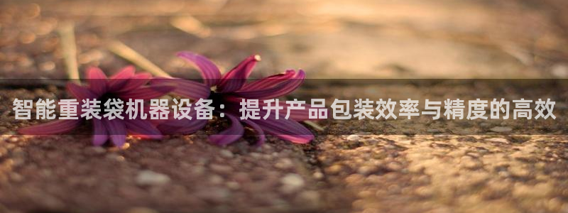 顺盈娱乐福彩：智能重装袋机器设备：提升产品包装效率与精度的高