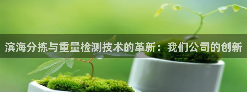 顺盈娱乐平台官网下载：滨海分拣与重量检测技术的革新：我们公司