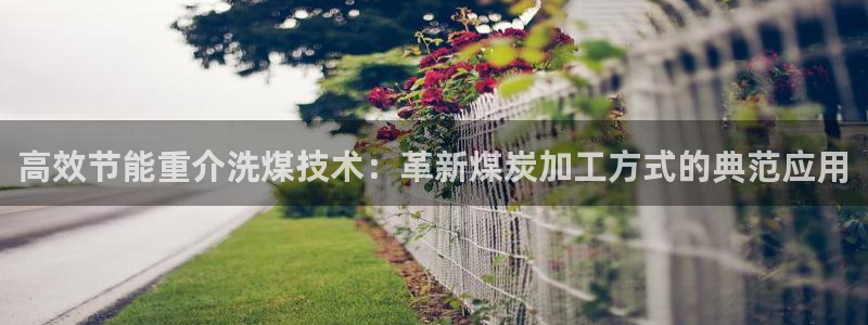盈顺休闲娱乐室在哪里：高效节能重介洗煤技术：革新煤炭加工方式