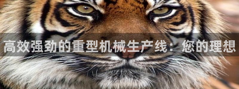 顺盈娱乐姜333OO