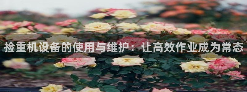 顺盈娱乐招商助判官333OO