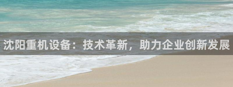 顺盈娱乐保究7276O：沈阳重机设备：技术革新，助力企业创新