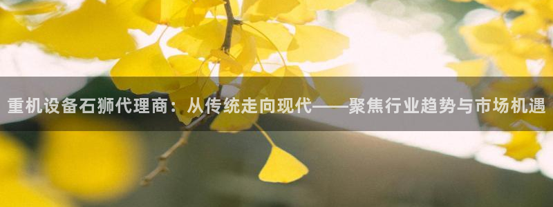 顺盈娱乐官网首页：重机设备石狮代理商：从传统走向现代——聚焦