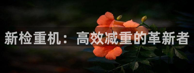 顺盈娱乐登录地址在哪儿