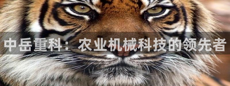 顺盈娱乐下载官网：中岳重科：农业机械科技的领先者