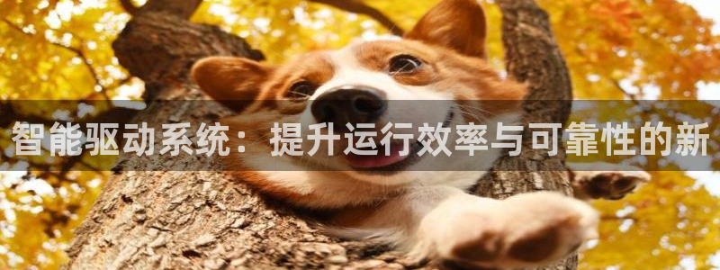 盈顺棋牌娱乐室电话号码