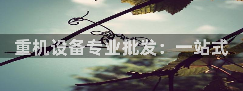 清远顺盈娱乐集团